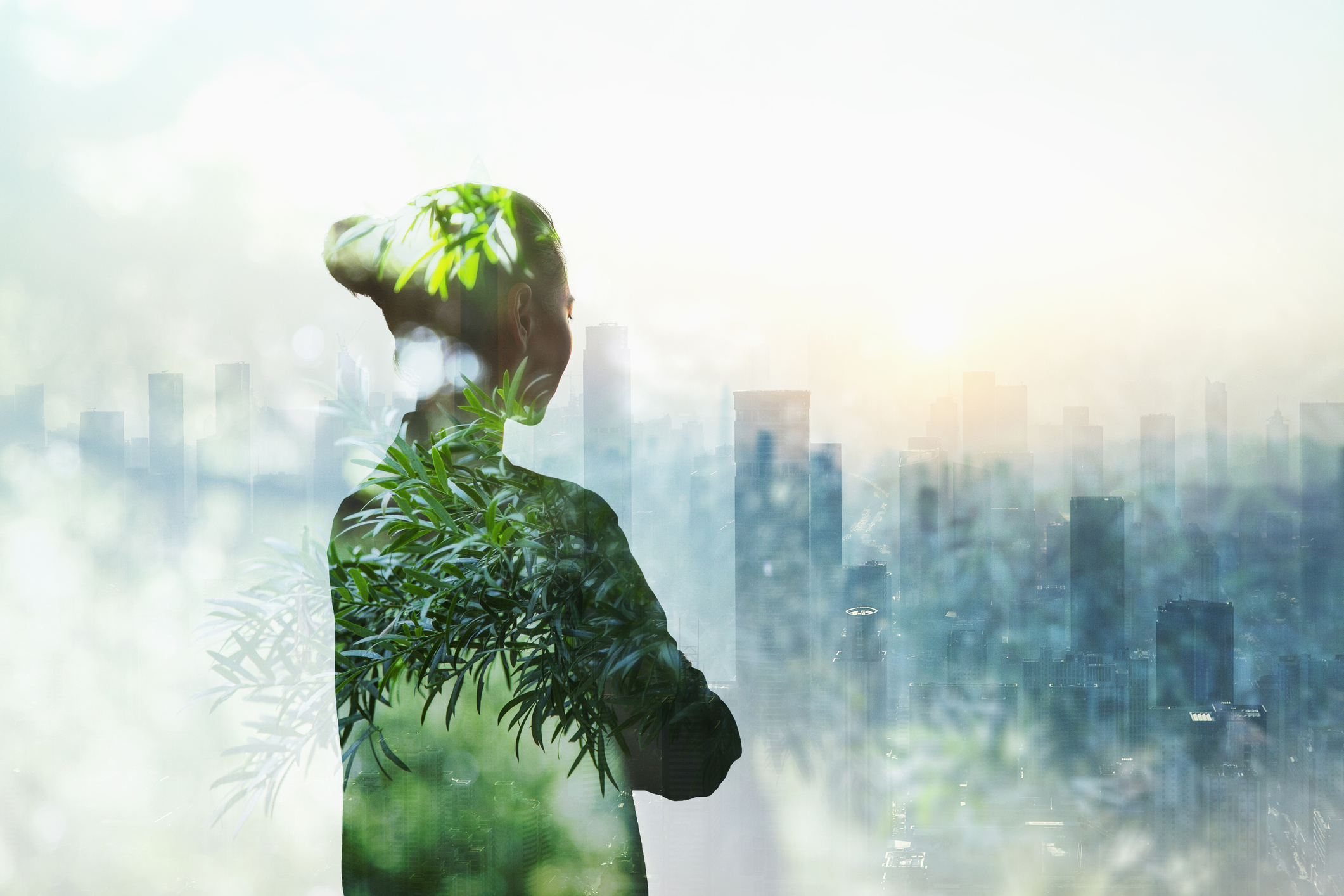 Read more about the article User-Centric APM and Green Technology: The Formula for Success